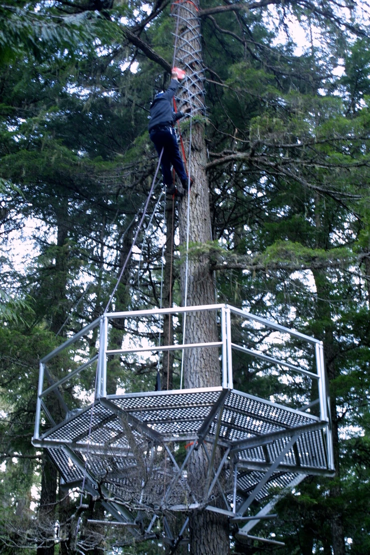 Zip Line Build: The Do’s and Don’ts - Skyline Ziplines