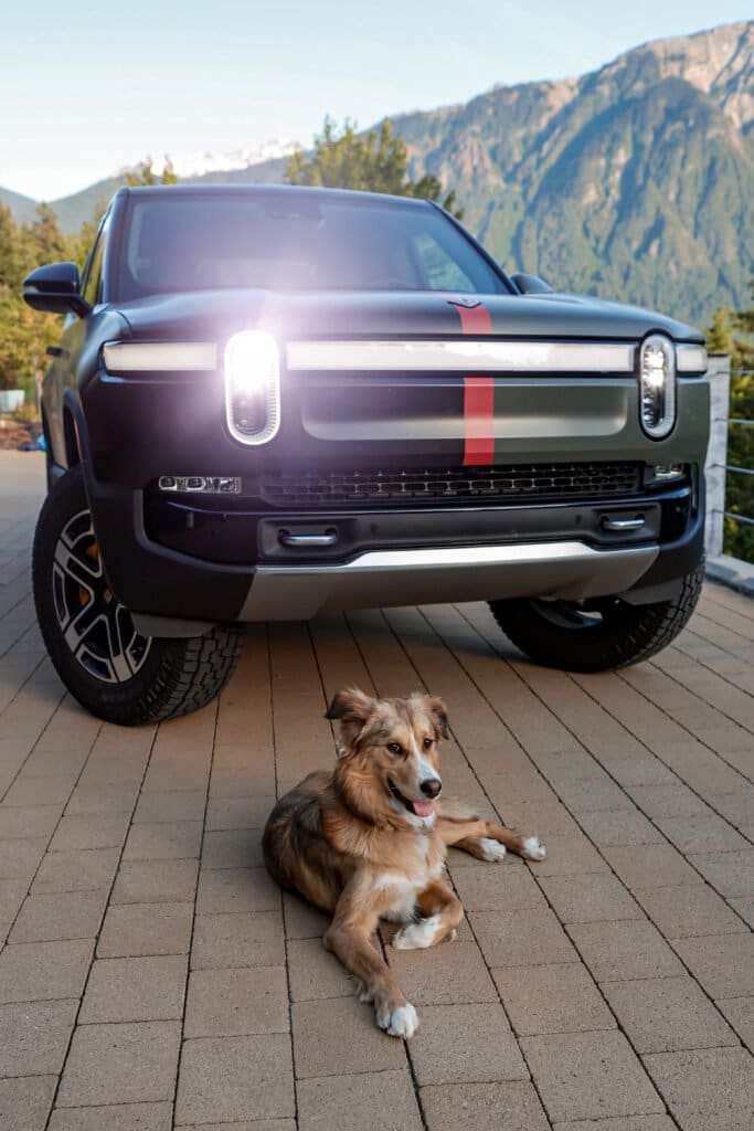 Skyline, Rivian Work truck with cute Dog