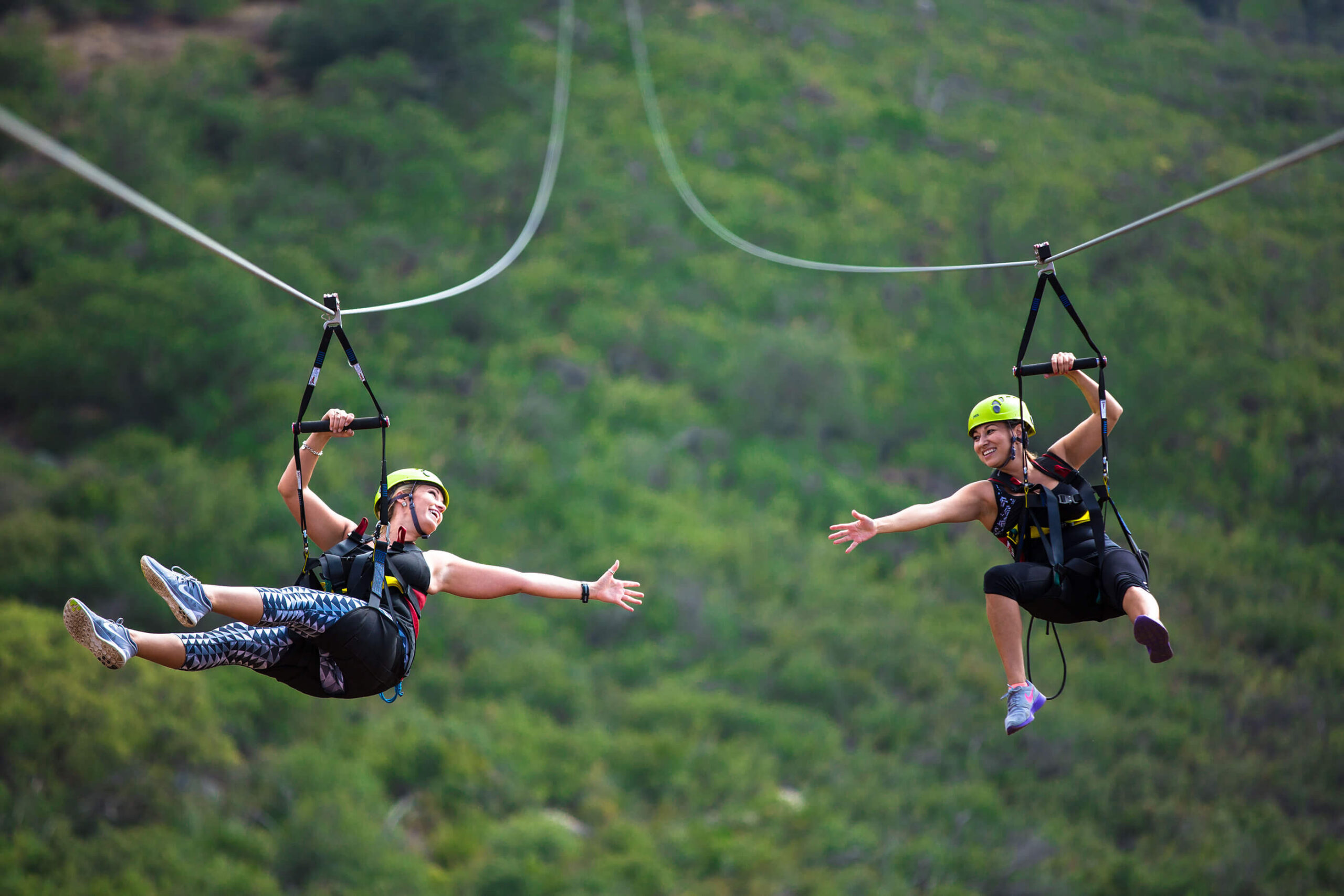 ASTM Standards for Zipline Systems % - Skyline Ziplines